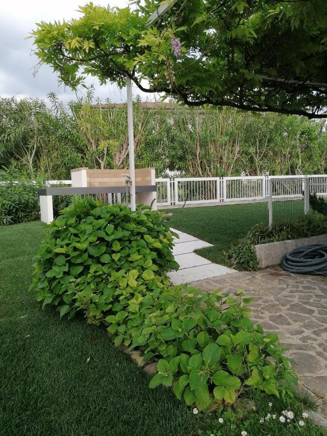 Betulla Bianca Villa Bardolino Bagian luar foto